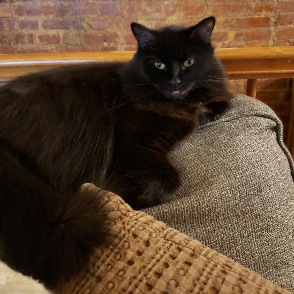 Meet your Posher, Kristina